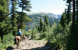 Конные туры